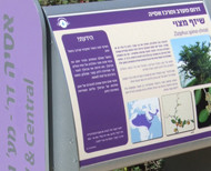 תערוכת מאה נקודות עניין
