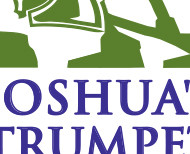 מיתוג ובניית לוגו לחברת תיירות  