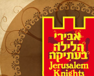  פסטיבל אבירים בעתיקה 2010