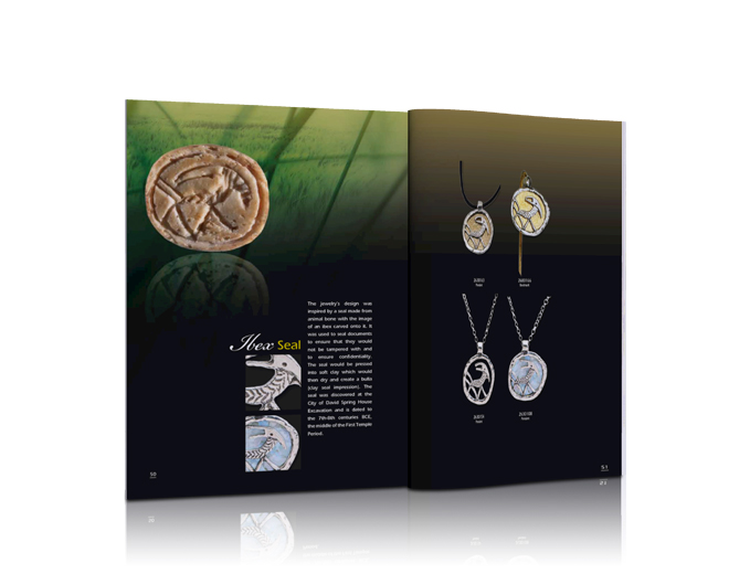 קטלוג מוצרים לשוק הבינלאומי 2012