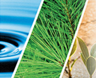 עיצוב חומרי הסברה לקק״ל