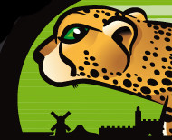 מיתוג מהיר בעיר צוות תוכנית אב לתחבורה ירושלים