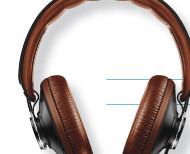 עיצוב ניוזלטר