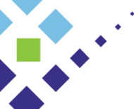 מיתוג חברת Terra Firma