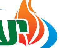 עיצוב ועיטוף רכב היערית