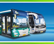 פעימה ראשונה מטרונית חיפה