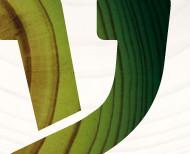 עיצוב תערוכת עץ ועצה