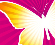 תערוכת הפרפרים