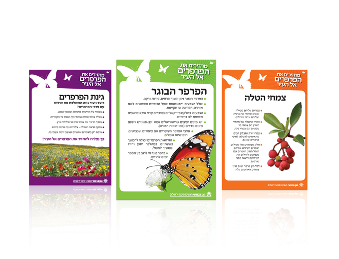 עיצוב פלקט הסבר בתערוכת הפרפרים בגן הבוטאני בירושלים