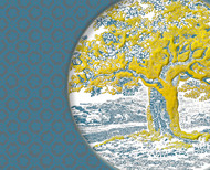 עיצוב שי ממותג לביקור אפיפיור עבור משרד התיירות