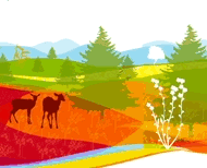 עיצוב תערוכות ודוכנים לשיווק קק